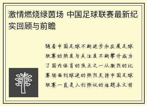 激情燃烧绿茵场 中国足球联赛最新纪实回顾与前瞻